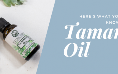 Tamanu Oil: Here’s What You Don’t Know About It